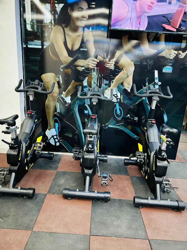 Spin bikes on the gym floor
